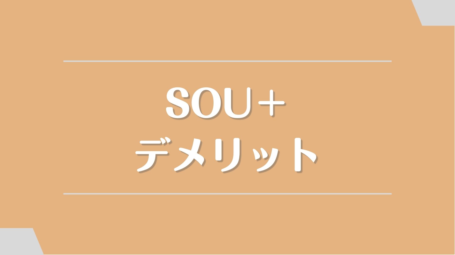 SOU＋(ソウプラス)のデメリット