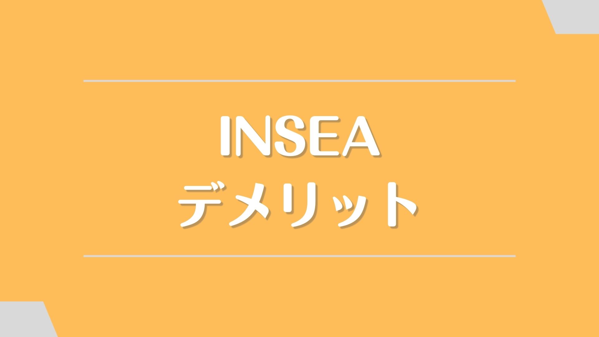 INSEA(インシー)のデメリット