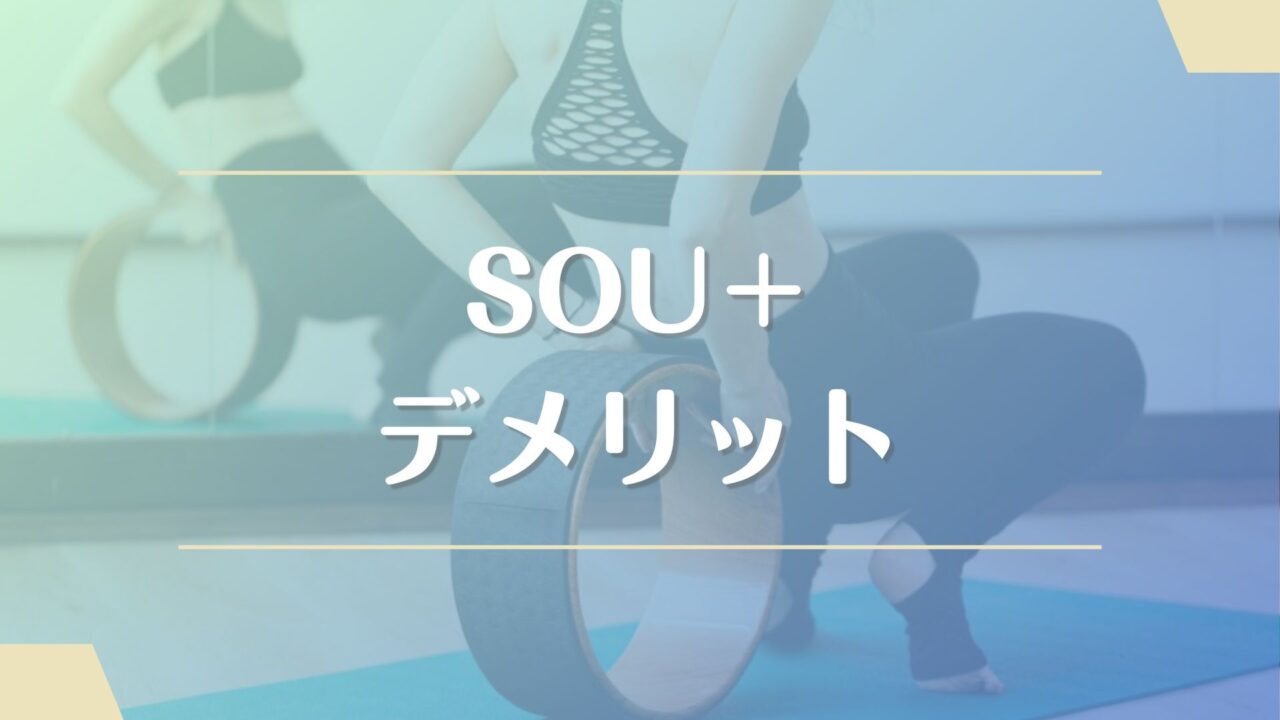 SOU＋(ソウプラス)のデメリット