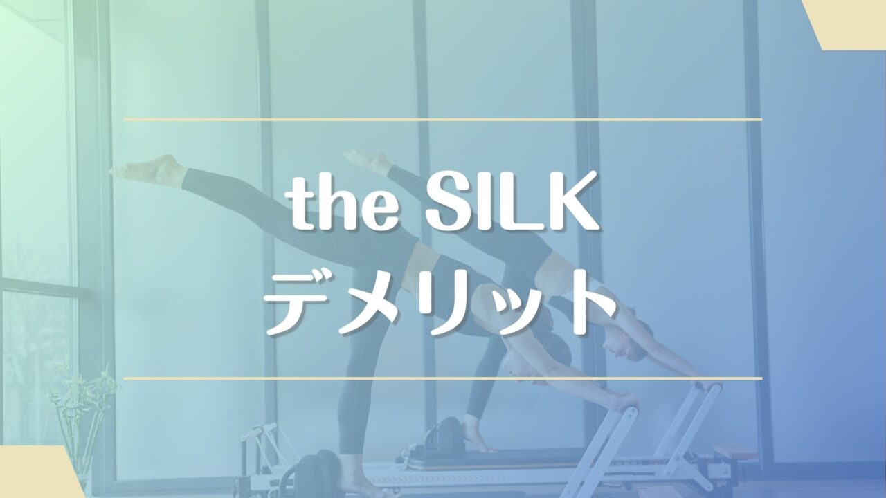 the SILK(ザシルク)のデメリット